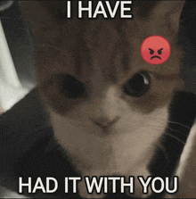 a cat with an angry face and the words " i have had it with you " above it