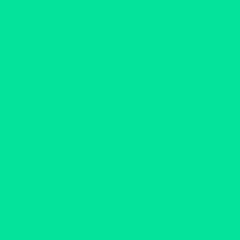 a white and black rectangle on a green background .