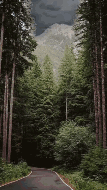 Forest Space GIF - Forest Space Visual Effect GIFs