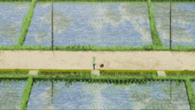 a person walking down a path surrounded by water