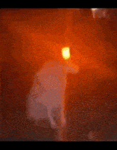 a blurred image of a person in a dark room with a red light behind them