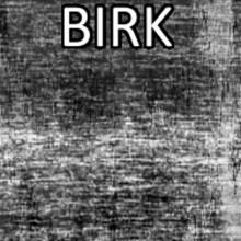 Birk GIF - Birk GIFs