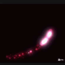 a heart shaped glowing swirl of pink lights on a dark background