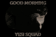 Yes Yes Squad GIF - Yes Yes Squad Good Morning GIFs