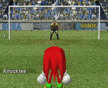 Knuckles Sonic The Hedgehog GIF - Knuckles Sonic The Hedgehog Victory GIFs