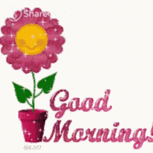 Good Morning Flower GIF - Good Morning Flower Floral GIFs