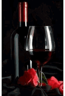 Wine Love GIF