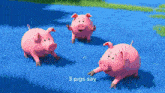 three pink pigs standing in a field with the words 3 pigs say