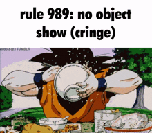no object show object show goku rule 989 rule