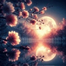a full moon is reflected in a lake surrounded by cherry blossom trees .
