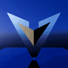 a gold and black triangle with the letter v on it