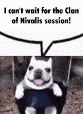 I Cant Wait For The Clan Of Nivalis Session GIF - I Cant Wait For The Clan Of Nivalis Session GIFs