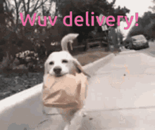 Wuv Delivery Ollie Wuv GIF - Wuv Delivery Ollie Wuv GIFs