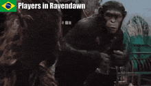 Ape Monkey GIF - Ape Monkey Ravendawn GIFs