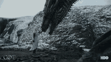 Pet Dragons GIF - Pet Dragons Rhaegal GIFs