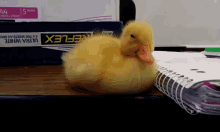 Baby Duck Can'T Stay Awake GIF - Duck Baby Aw GIFs