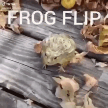 Frog Flip GIF - Frog Flip GIFs