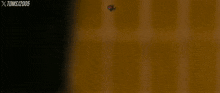 a man in a yellow t-shirt is standing in front of a wall with toms 2005 written on the bottom right