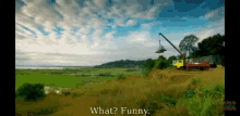 What Funny Tent GIF - What Funny Tent Crane GIFs
