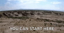 a herd of horses running through a desert with the words " you can start here "