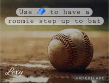 a picture of a baseball with the words " use to have a roomie step up to bat "