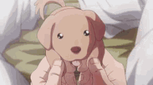 a person is holding a brown puppy in their hands .