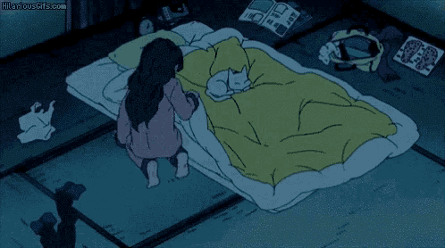 Nap Buddies anime/video game throw blanket - Ghibli's Totoro &  Pokemon's Snorlax | eBay