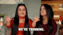 Twinning GIF - Were Twinning Twins Sassy GIFs