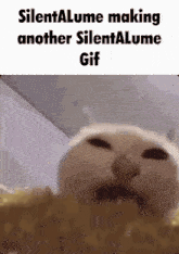 Silentalume GIF - Silentalume GIFs