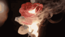 a red rose is on fire and smoke is coming out of it