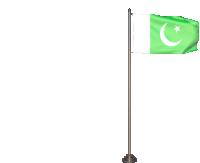 Pakistan Flag Sticker - Pakistan Flag Stickers
