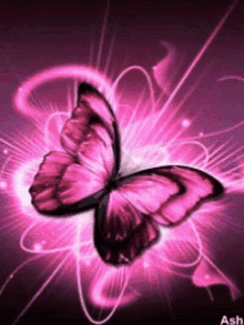 butterflies beautiful sparks pink pulse