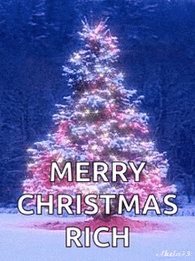 Christmas Christmastree GIF