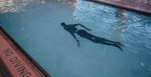 a person is swimming in a pool with a no diving sign on the edge