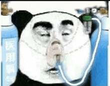 a panda bear is wearing an oxygen mask in front of a bottle of water .