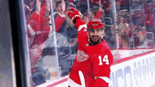 Detroit Red Wings Robby Fabbri GIF