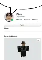 a screenshot of a roblox account with the name pteru on it