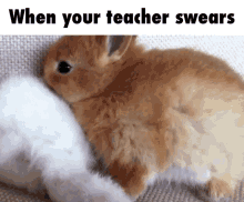 Teacher Swears GIF - Teacher Swears Hide GIFs