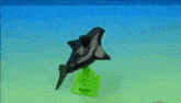 a black toy dolphin is on a green stand