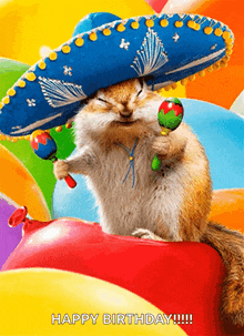 a chipmunk wearing a sombrero is holding a maraca and a balloon