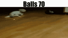 Balls Balls 70 GIF - Balls Balls 70 Cat GIFs