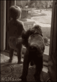 Baby Dog GIF - Baby Dog Window GIFs