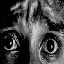 Fear Eyes GIF - Fear Eyes Scared GIFs