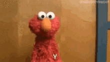 Elmo Why GIF - Elmo Why But Why GIFs