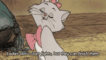 Cat Fights GIF - Fight GIFs