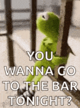 kermit the frog is sitting on a railing and saying `` you wanna go to the bar tonight '' .
