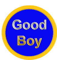 Good Boy Sp Sticker