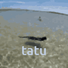 Tatu GIF - Tatu GIFs