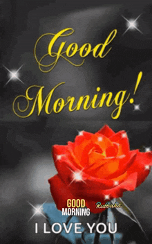 Good Morning Kumar Sushil GIF - Good Morning Kumar Sushil Rutbaha Marndi GIFs
