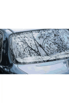 Windshield Replacement Companies Near Me Free Auto Glass Replacement GIF - Windshield Replacement Companies Near Me Free Auto Glass Replacement GIFs